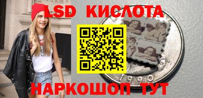ГАЛЛЮЦИНОГЕННЫЕ ГРИБЫ Вязники