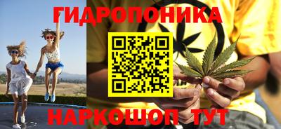 ГАЛЛЮЦИНОГЕННЫЕ ГРИБЫ Вязники