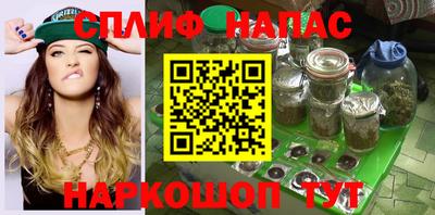 молекула духа Вышний Волочёк