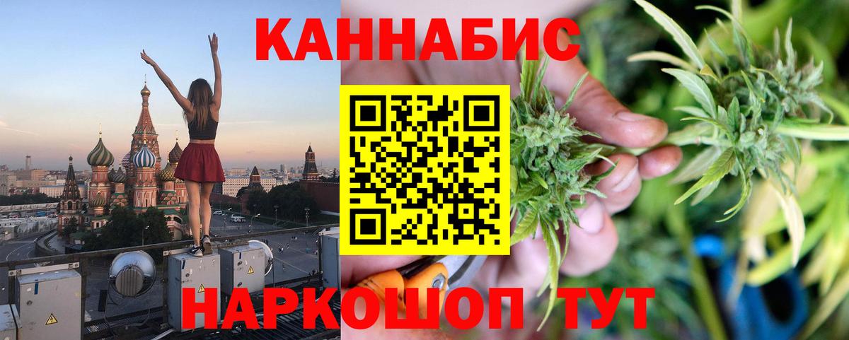 Канабис OG Kush Видное